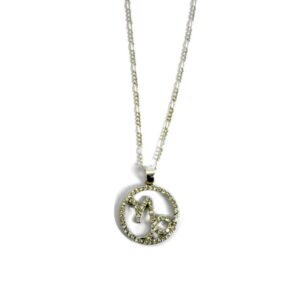 collier star fashion au signe de zodiaque du capricorne - couleur argent – Image 1